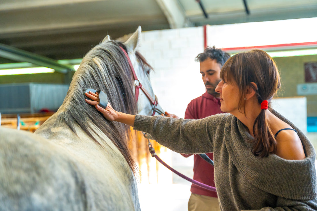 Warrior Ranch: How Equine Therapy Serves Veterans and First Responders